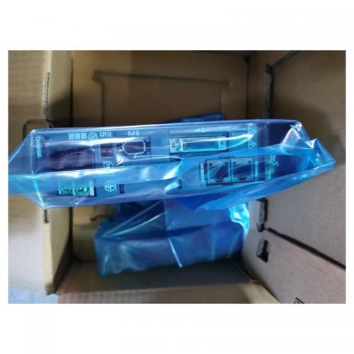 RYH101F6-VV2 Servo Driver